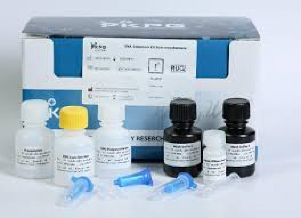 کیت استخراج ستونی DNA از باکتری گرم