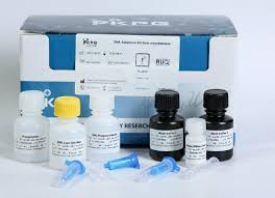 کیت استخراج ستونی DNA از باکتری گرم منفی